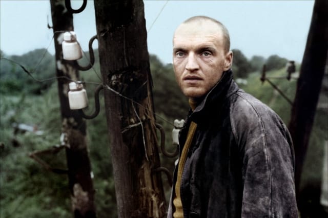 Film digest: new "Avatar", series about Tarkovsky and other news