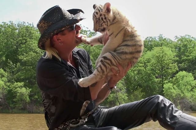 Документальний серіал "Король тигрів" б'є рекорди переглядів на карантині: меми в мережі та реакція зірок